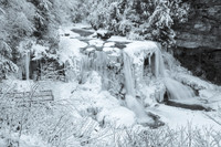 Blackwater Falls in Winter (2021)