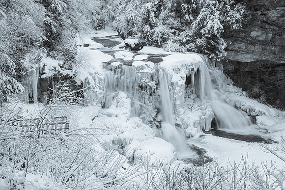 Blackwater Falls in Winter (2021)