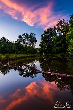 Summer Evening (2020)