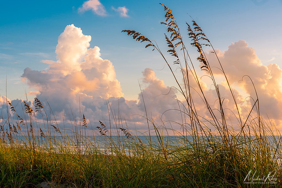 Morning at the Beach (2020)