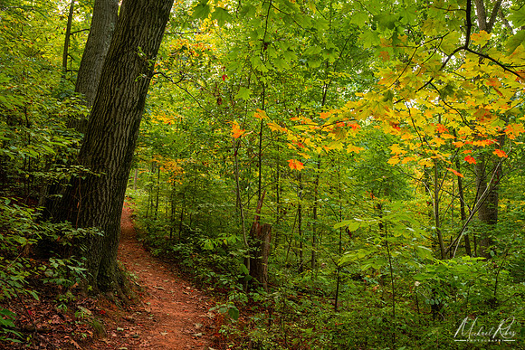 September on Trail (2020)