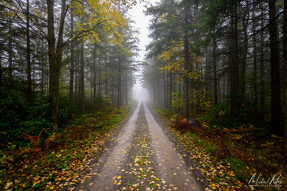 Canaan Loop Road (2016)