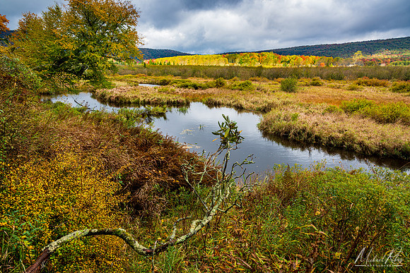 Canaan Valley (2020)