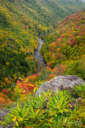 Blackwater Canyon (2020)