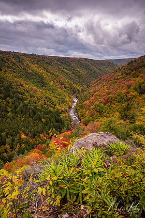 Blackwater Canyon (2020)