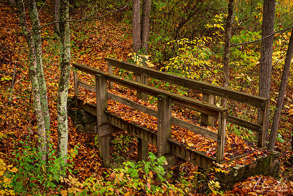 Small Footbridge (2020)