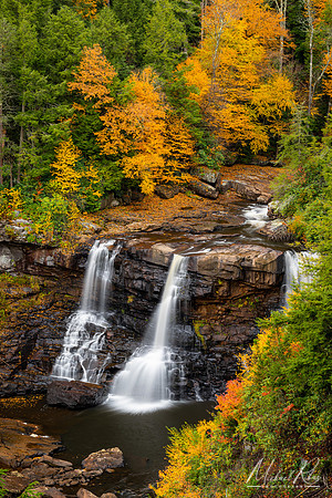 Blackwater Falls (2020)