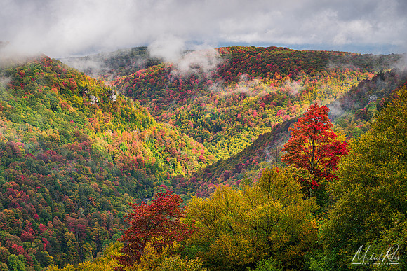 Blackwater Canyon Lifting Clouds (2020)