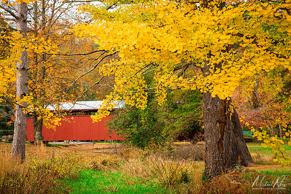 Staats Mill Covered Bridge (2017)