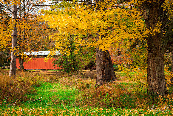 Staats Mill Covered Bridge (2017)
