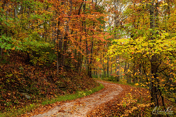 Gravel WV Road in Fall (2020)