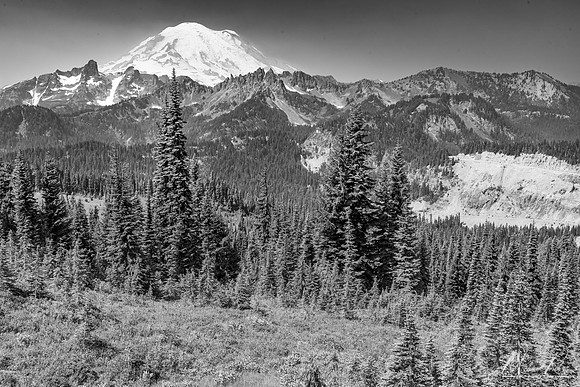 Mt. Rainier (2017)