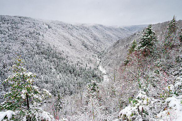 Blackwater Canyon Winter Wonderland (2021)