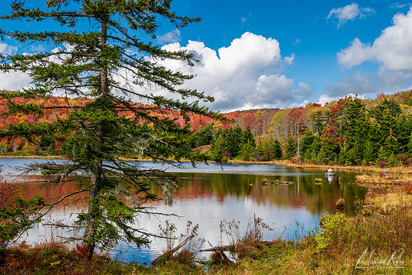 Fishing on Spruce Knob Lake (2021)