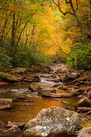 Autumn Stream (2021)