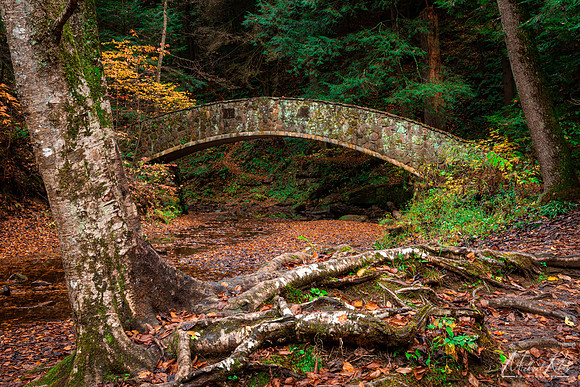 Old Man's Cave Stone Bridge (2020)