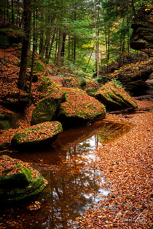 Old Man's Cave Gorge (2020)