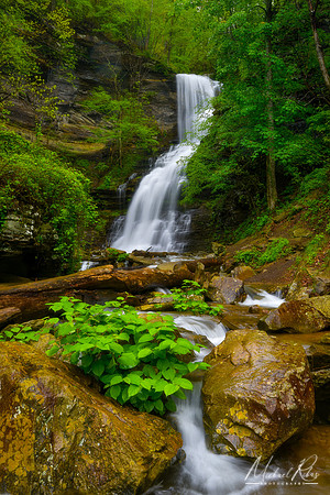 Cathedral Falls (2020)