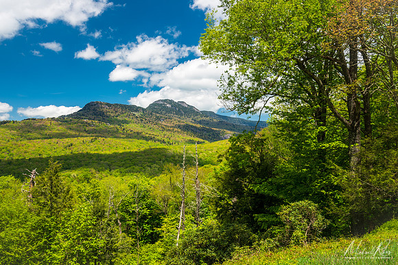 Grandfather Mountain in Spring (2019)