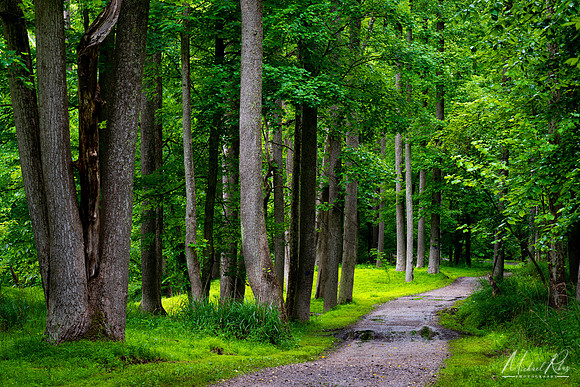 North Bend Rail Trail Extension (2019)