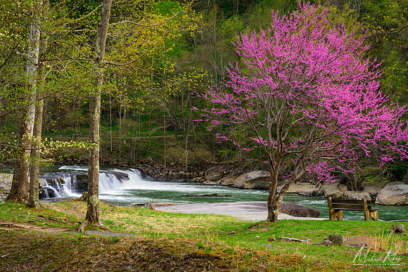 Spring at Valley Falls (2018)