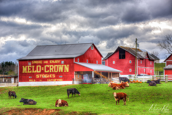 Ohio Barns and Cows (2017)