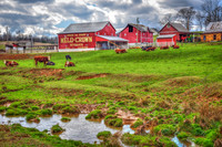Ohio Farm (2017)