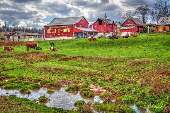 Ohio Farm (2017)