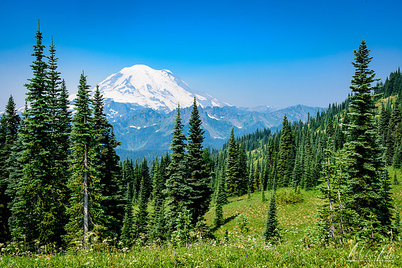 Mt. Ranier (2017)