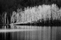 Late Afternoon at North Bend Lake (2016)