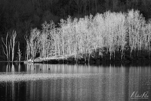 Late Afternoon at North Bend Lake (2016)