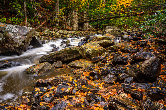 Blade Creek in Fall (2016)