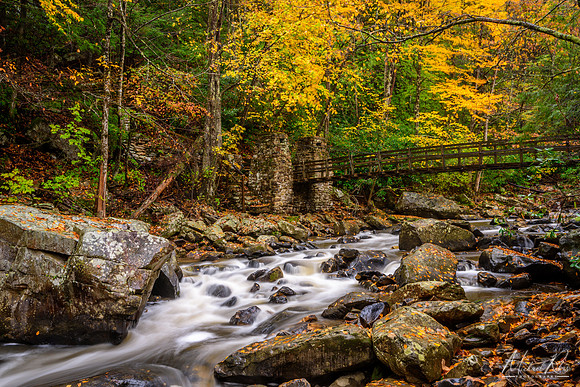Glade Creek and Babcock Swinging Bridge (2016)