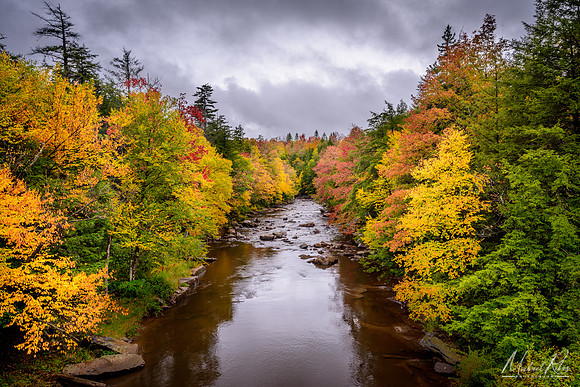 Blackwater River in Fall (2016)