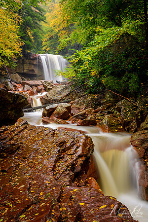 North Fork of Blackwater River (2016)