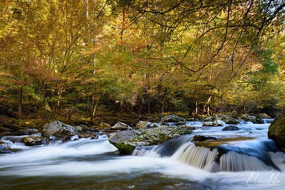 Laurel Creek (2018)