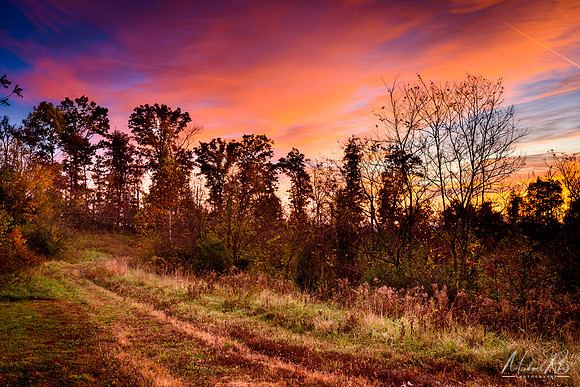 October Morning (2018)