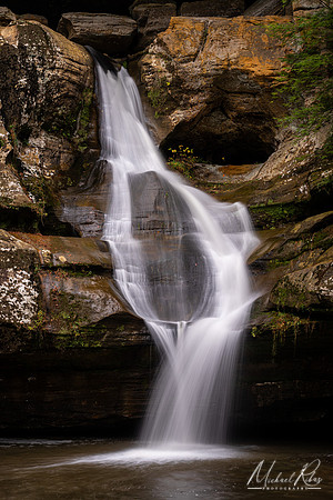 Cedar Falls (2020)