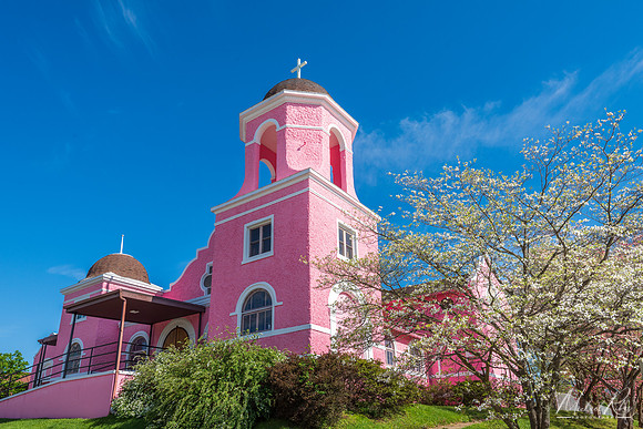 Pink Church (2024)
