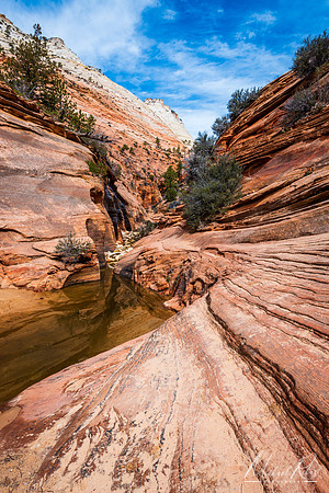 Small Canyon at Zion NP (2019)