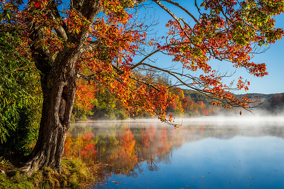 Morning on Price Lake (2019)