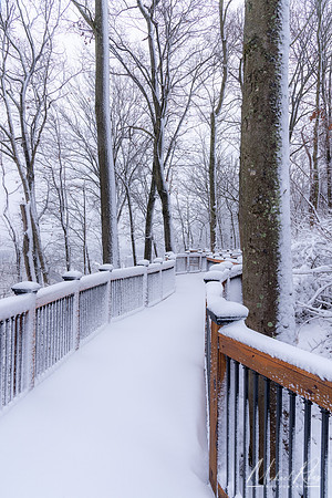 Fresh Snow on Boardwalk (2020)