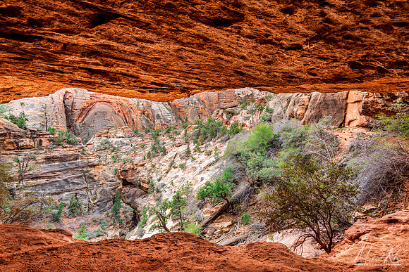 Zion Cave View (2019)