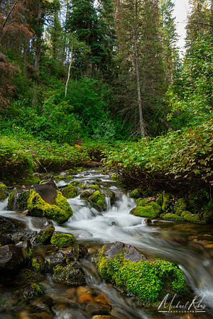 Wasatch Mountains Stream (2024)