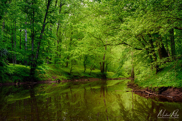 Spring Along the Hughes River at North Bend (2024)