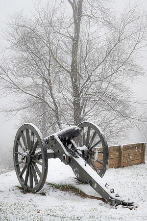 Fort Boreman Cannon (2020)