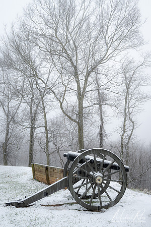 Fort Boreman Cannon (2020)