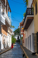 Cat Alley, San Juan (2025)