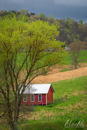 Spring Countryside (2024)