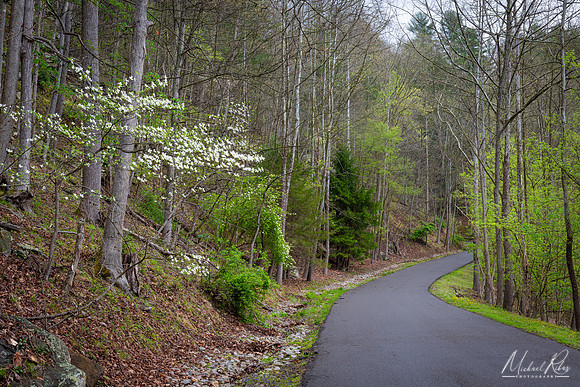 North Bend in Spring (2024)